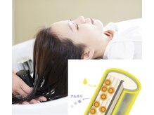 リンゴ酸・クエン酸のチカラでキューティクルを接着し、アルカリを除去します。