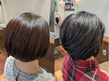 シエル(Ciel)の写真