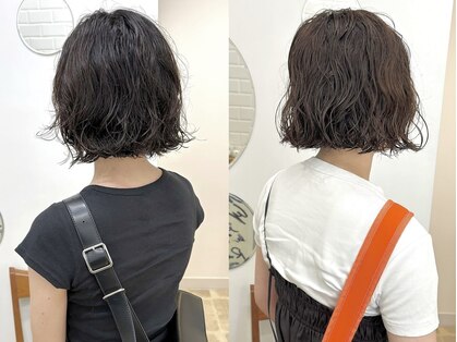 ハイフ(haif)の写真