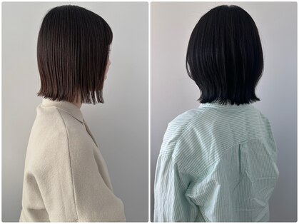 シェリッシュ ノース(Sheriche North)の写真