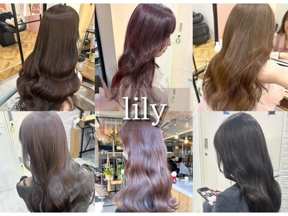 リリー(lily)の写真