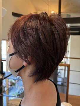 ルーパー LOOPER ショートレイヤー