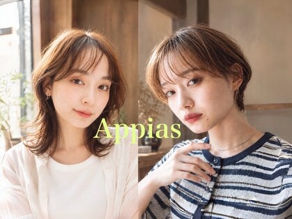 アッピアス 大和(Appias)の写真