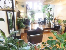 ランドスケープ(Landscape)