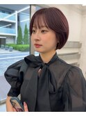 ボブ  ラベンダーピンク_ミニウルフチェリーブラウンホワイト