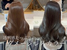 ブリーチなしでも圧倒的な透明感と艶感のあるダメージレスカラーが得意【ショートボブ/新宿/髪質改善ボブ】