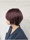 ブリーチなし　レッドブラウン