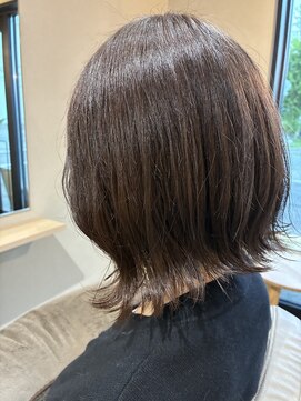 本と南風 guest design