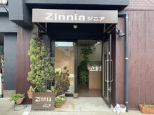ジニア(Zinnia)