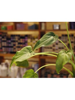 カフェのようなくつろげる空間で是非癒されてください！穏やかなスタッフがお待ちしております♪