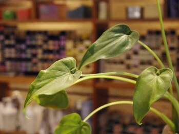 ルガラージュ(le garage)の写真/カフェのようなくつろげる空間で是非癒されてください!穏やかなスタッフがお待ちしております♪