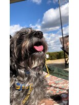 ヌック(NOOK)&nbsp;NOOK Hair Room 13