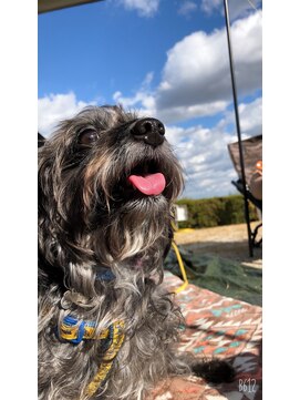 ヌック(NOOK) NOOK Hair Room 13