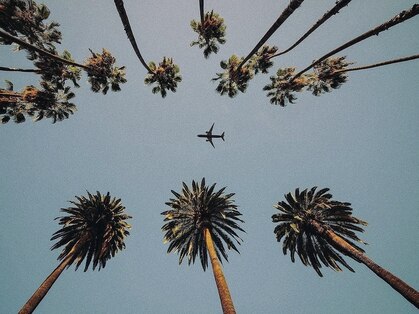 ヘアリゾート リノ(Hair resort Lino)の写真