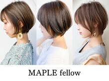 メイプルフェロー(MAPLE fellow)