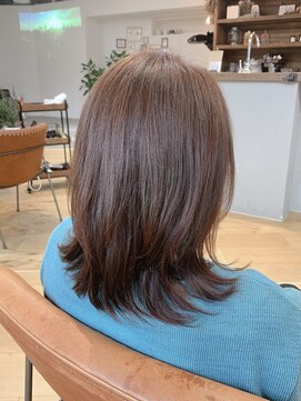 ノル(Knoll) セミディ/レッドブラウン/似合わせカット[銀座/日比谷]