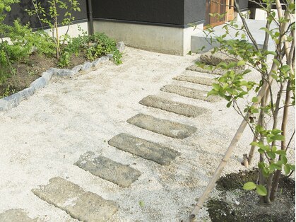 マウア(maua)の写真