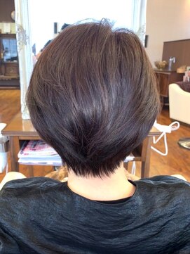 ヘアープロデュース ア ラ モード(Hair Produce A La Mode) 美彩ハイブリッド(ブルースター)