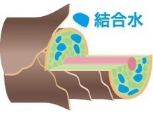 最新の毛髪理論を徹底解説！ノンダメージ施術の秘密『結合水』の保持について
