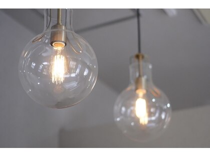 カランコエ(kalanchoe)の写真