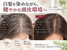 アイスタイル 藤三陽光台店(I STYLE)の雰囲気（髪だけでなく、頭皮環境まで考えたケアをご提案します［白髪］）