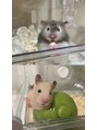 ヨンド(yond) ハムスター2匹飼ってます！！わんぱくです！！