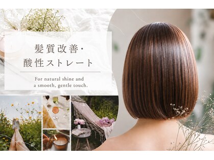 エストリノ(est lino)の写真