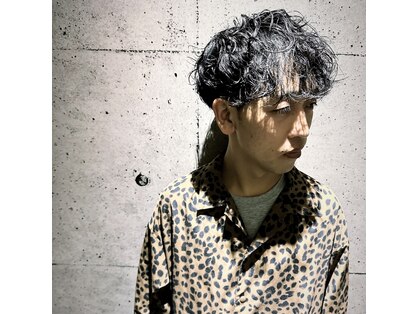 ジャンプザチーター(JUMP the cheetah)の写真