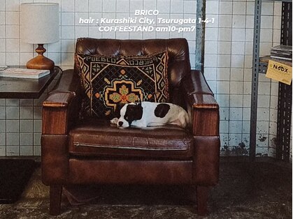 ブリコ(Brico)の写真