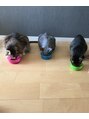 ループスケア(Roops CARE)&nbsp;癒しの猫をこよなく愛してます。