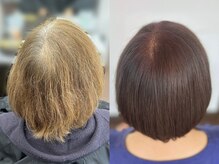 プレジール(Plaisir)