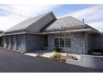 リラ(Rira)の写真