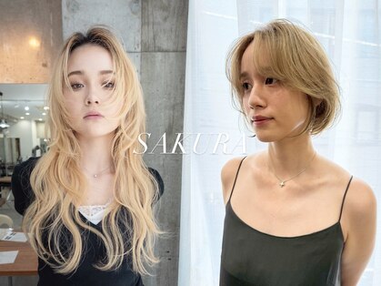 サクラ 岐阜(SAKURA)の写真