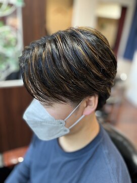 グルーミングサロンスカイ 小岩南口店 (Grooming Salon SKY) 《ハイライト》でイメチェンしませんか♪?