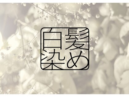 ノンノ 永山店(nonno)の写真