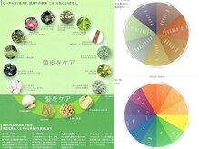 【白髪染めは取り扱っておりません】本物の脱白髪染め。一人ひとりの白髪の割合に合わせて希望の色味が叶う