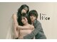 アイティス(Itice)の写真