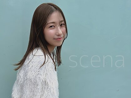 シーナ(scena)の写真