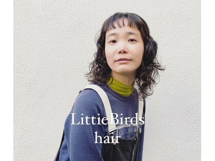 リトルバード(Little Birds)の写真