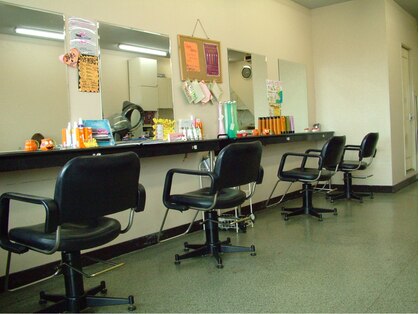 アピッシュ(APISH)の写真