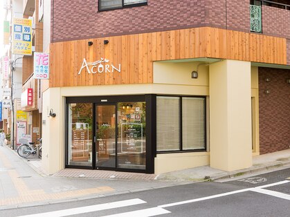 エイコーン(ACORN)の写真