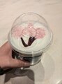 ノア(noix) 桜の時期桜味のものが大好きです