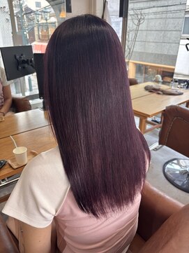 ルイス(Luis) グレープラベンダー