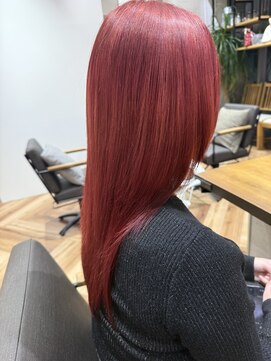 チェリーレッド/バーガンディ/ワインレッド/全頭ブリーチ