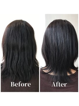 ビート(BEAT) ミディアム