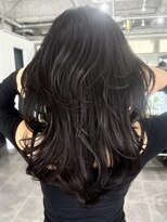 ホリー(HOLLY)&nbsp;バタフライレイヤー