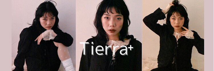 ティエラプラス(Tierra＋)のサロンヘッダー