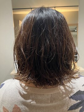 本と南風 guest design