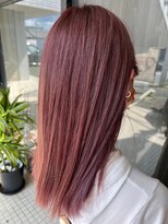 ネリネ(Nerine)&nbsp;チェリーブラウン