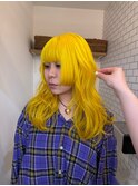 イエローカラー/ビビッドカラー